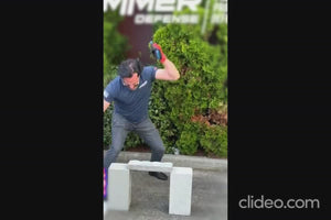 Video 2 trigger image